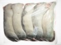 Szczur mrożony 400g+  (5szt/opak)