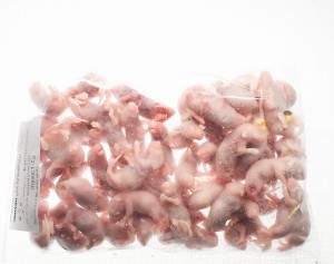 Mysz mrożona oseski 1-2g  (50szt/opak)