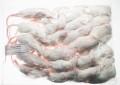 Mysz mrożona 10-15g (25szt/opak)