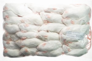 Mysz mrożona 21-25g   (25szt/opak) 