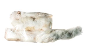 Łapki królicze (4 szt./opak)