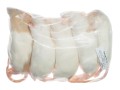 Szczur mrożony  60-90g  (opakowania 25, 50, 100 szt.)