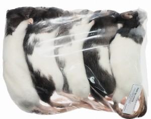 Szczur mrożony  150-200g.  (opakowania 25, 50, 100 szt.)