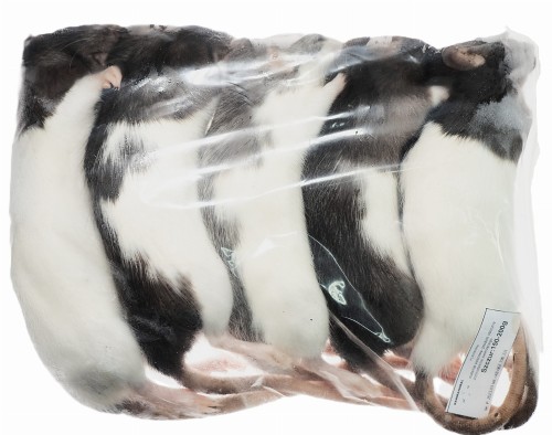 Szczur mrożony  150-200g.  (opakowania 25, 50, 100 szt.)