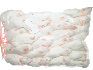 Mysz mrożona 16-20g (25 szt/opak.) 