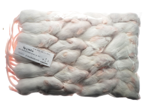 Mysz mrożona  7-9g (25szt/opak)