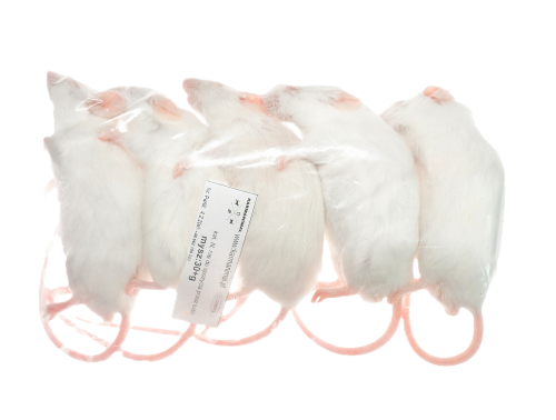 Mysz mrożona 30g+  (10szt/opak)  