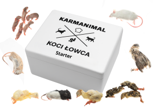 Koci łowca- Starter   (ok. 600g)