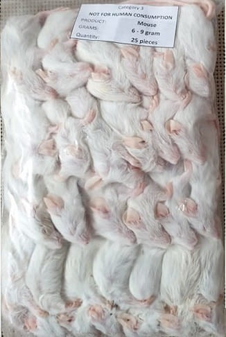 Mysz mrożona 7-9g