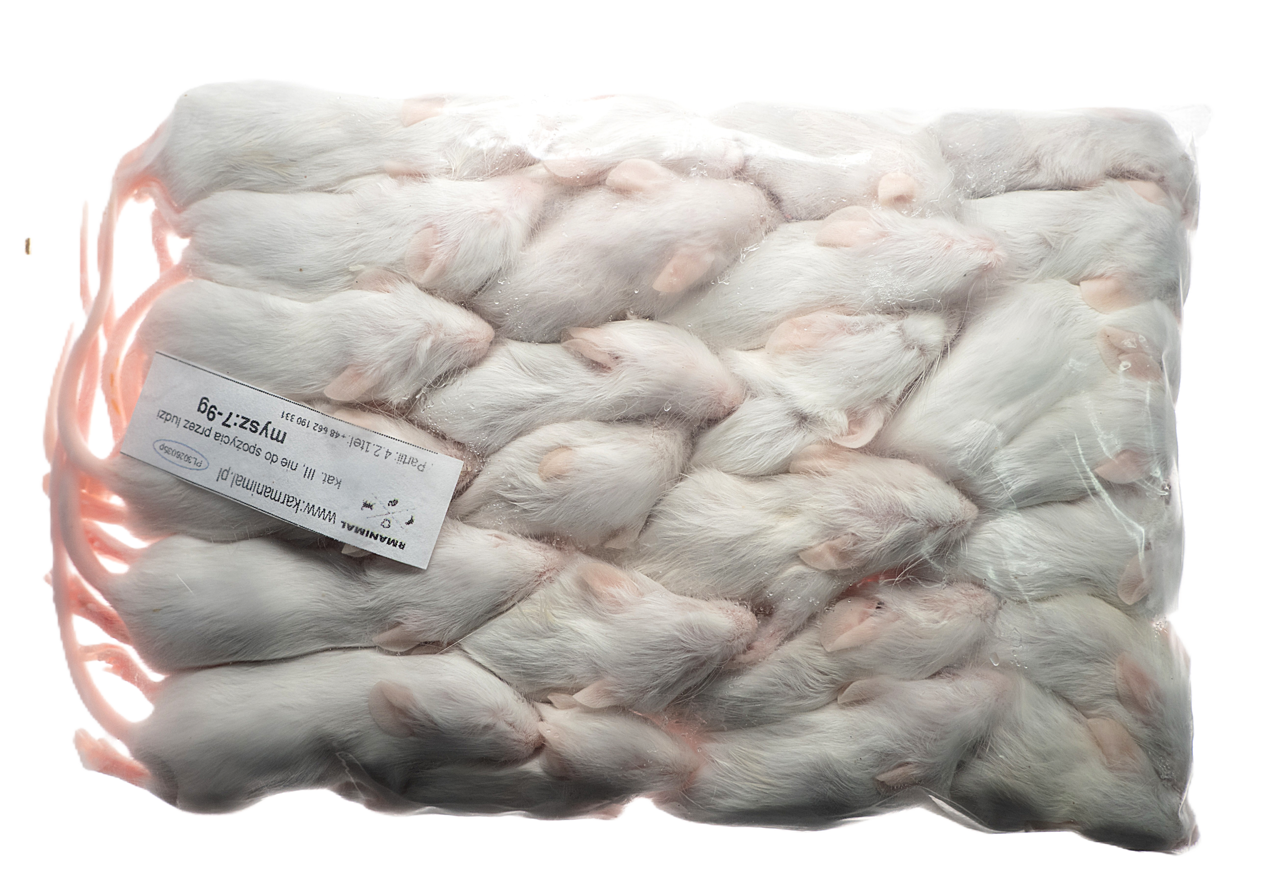 Mysz mrożona 7-9g - obrazek 2