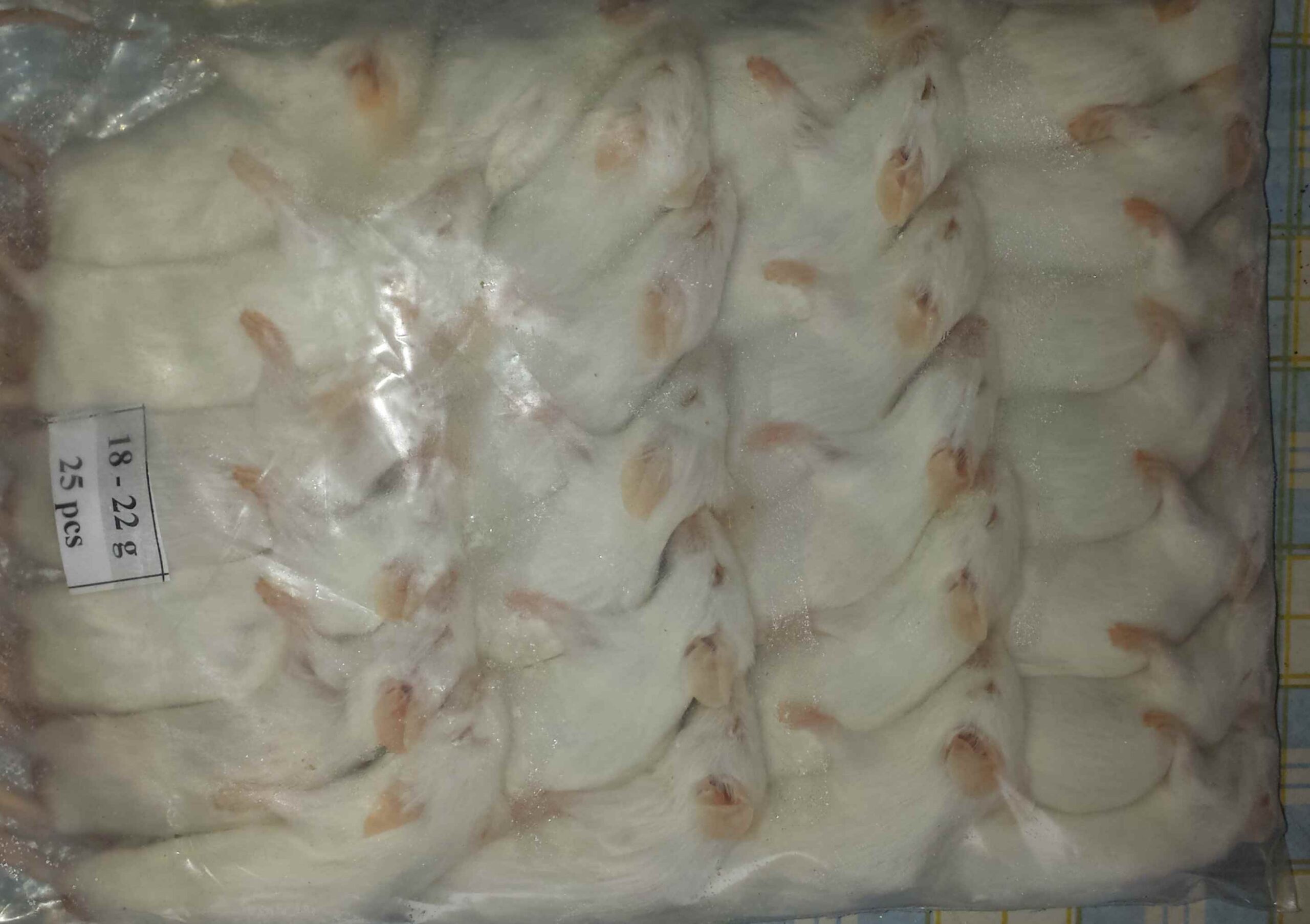 Mysz mrożona 30g+